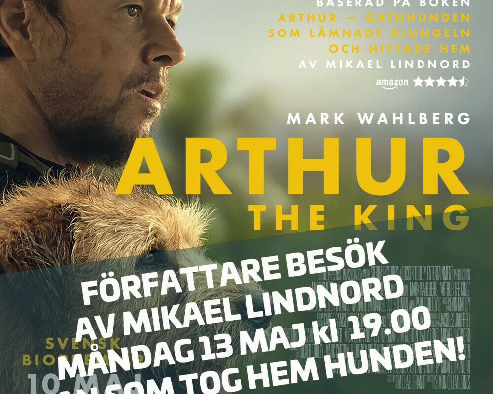 FÖRFATTARBESÖK