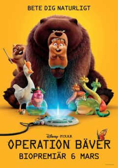 Operation bäver