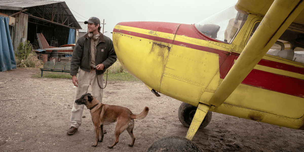 The Dog Stars